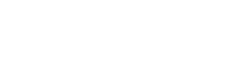 Trade Wave Options 